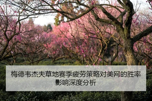 梅德韦杰夫草地赛季疲劳策略对美网的胜率影响深度分析