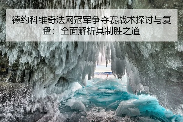 德约科维奇法网冠军争夺赛战术探讨与复盘：全面解析其制胜之道
