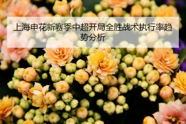 上海申花新赛季中超开局全胜战术执行率趋势分析